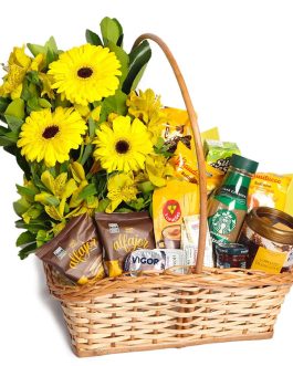 Cesta dia das Mães Rio Preto